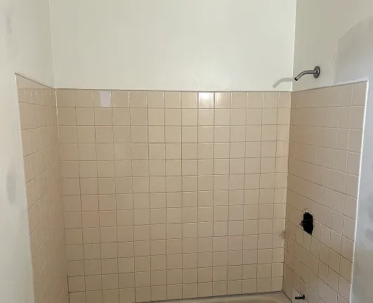 Before tile restoration showing old tiles with stains and dull tone