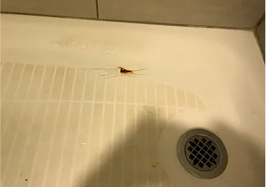 Before shower resurfacing showing chipped and aged tiles